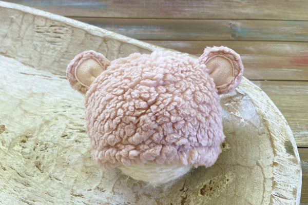 Newborn Little Bear