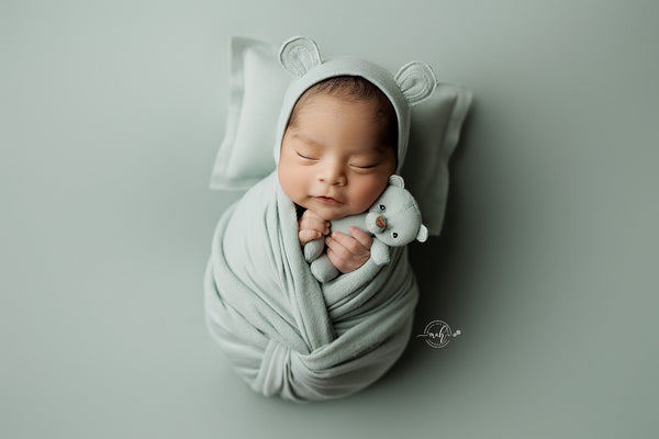 Bitsy Bear Lovies
