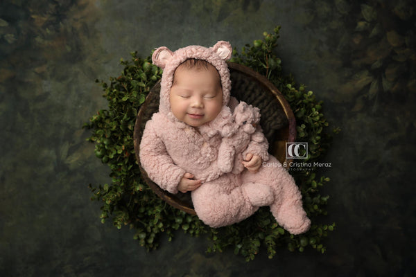 Newborn Little Bear