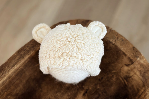 Newborn Little Bear