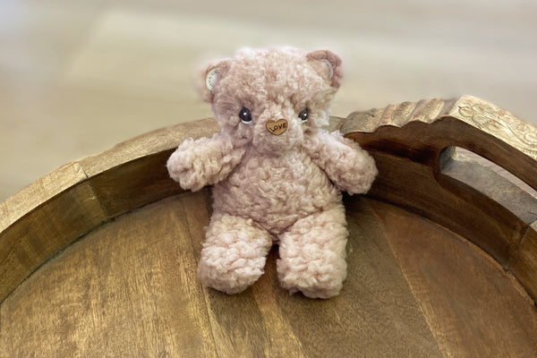 Newborn Little Bear