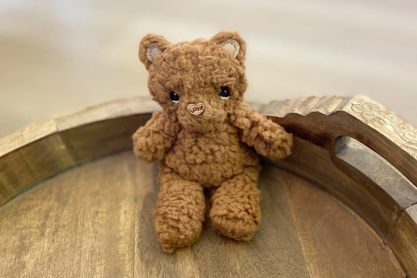 Newborn Little Bear