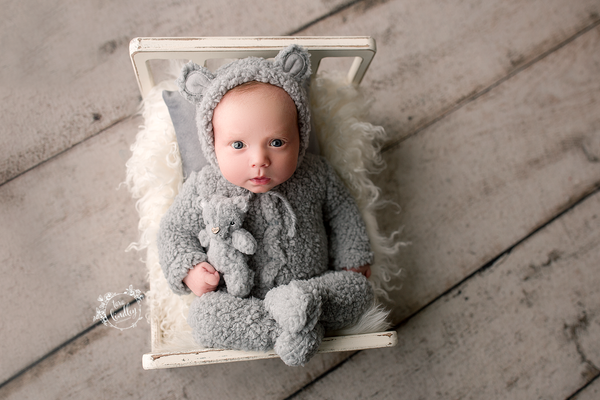 Newborn Little Bear