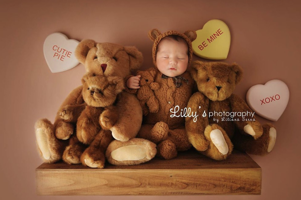 Newborn Little Bear