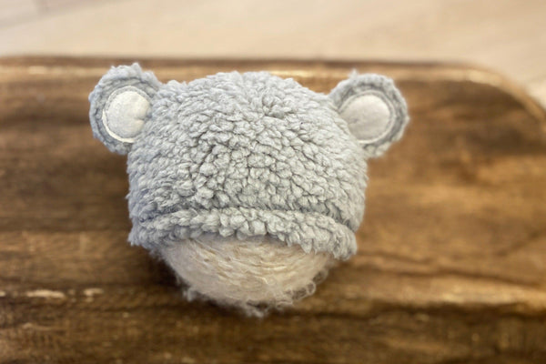 Newborn Little Bear
