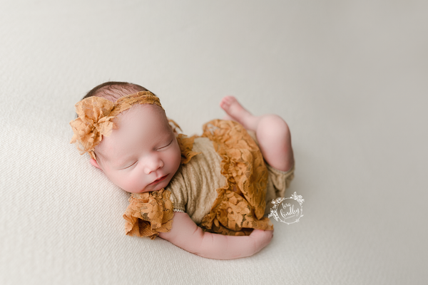 *NEW* Eloise