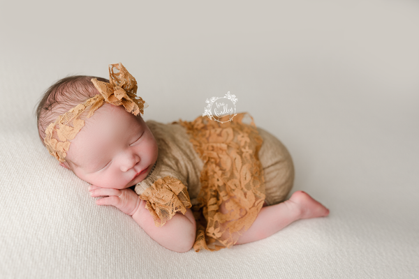 *NEW* Eloise