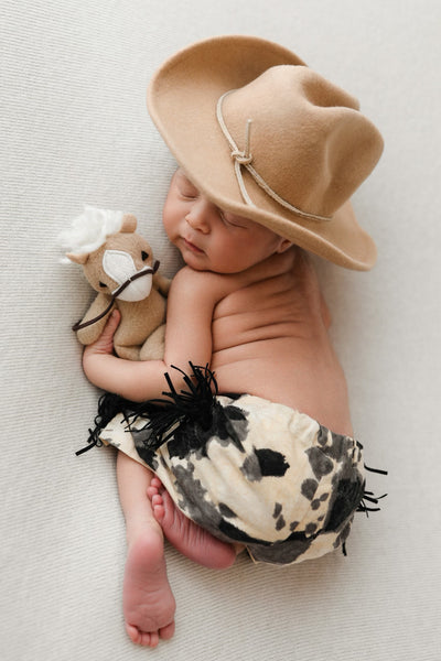 Horse lovie