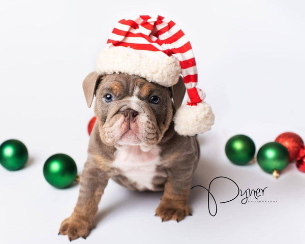 Santa Baby ~ NB & Sitter